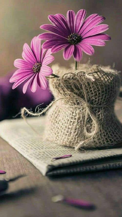 babynaice's tweet photo. La vida es un resumen de 5 palabras. Dios, salud, amor, alegrías y esperanzas. Que el primero siempre te cuide y el resto nunca te falte. #BuenosDías 💒💖💐💋🌞👒🍃🌎📚☕️🫂 https://t.co/p4O9AIfTOz