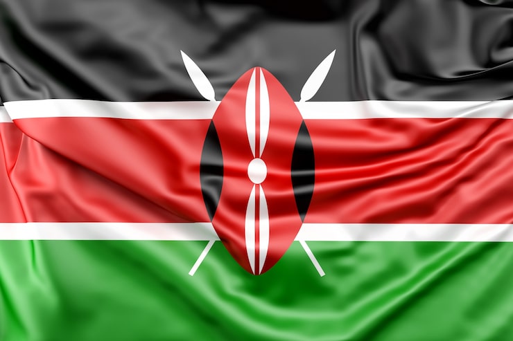 MartCray's tweet photo. Got to give props to the people who designed this flag,with the shield,truly encompasses the Kenyan spirit. 🇰🇪💙 https://t.co/AOAcSSJGGr