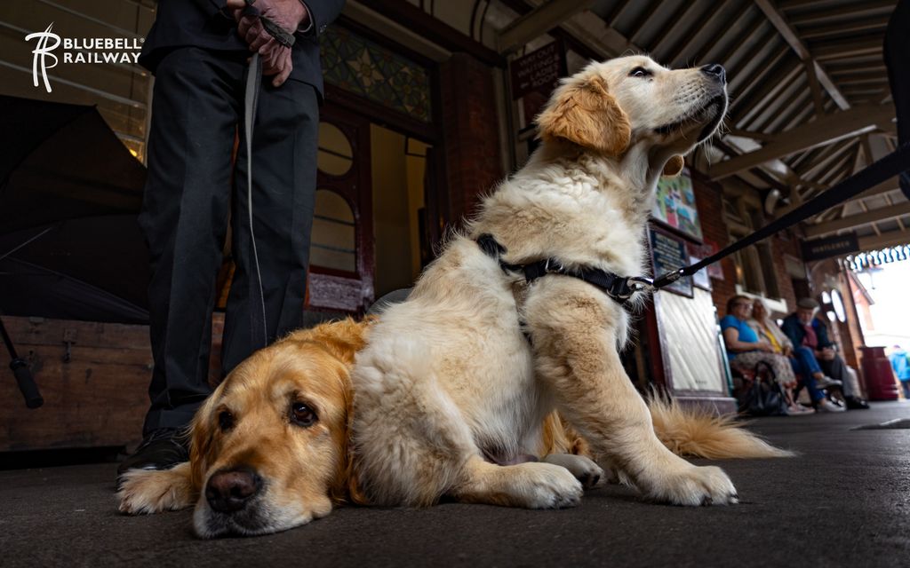 Bluebell Railway tweet media