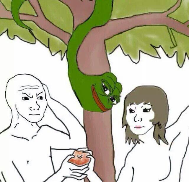 magick_mikeyy's tweet photo. @phuktep @wojakcto https://t.co/x4viIM2UhS