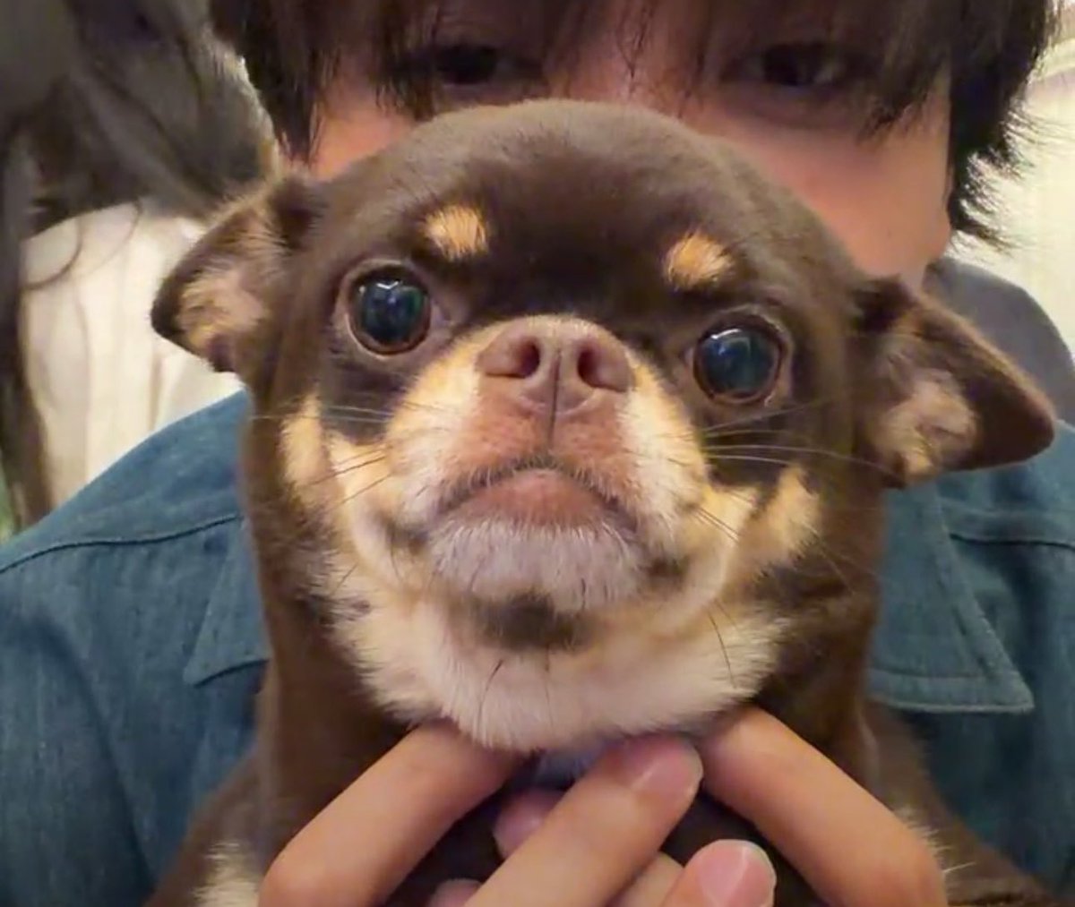 __aong's tweet photo. ให้เลยกูตามคนมากี่คนก็ไม่สนุกเท่าตามเจนอาชุงจริงๆ  กูไม่อยากเป็นแม่มันละอายอะ ((เอาอีก) ) https://t.co/yZiZzBdxiF