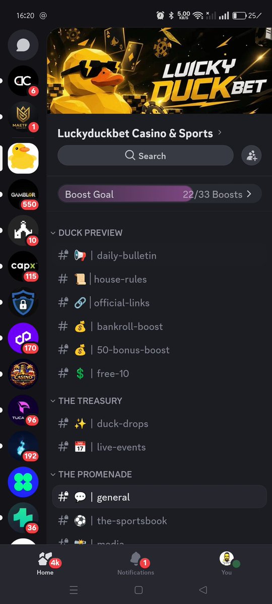 LuckyMaaa's tweet photo. @Tomas1120_ @PlayLuckyDuck Done all task ✅💯 https://t.co/BwAaXXlgrI