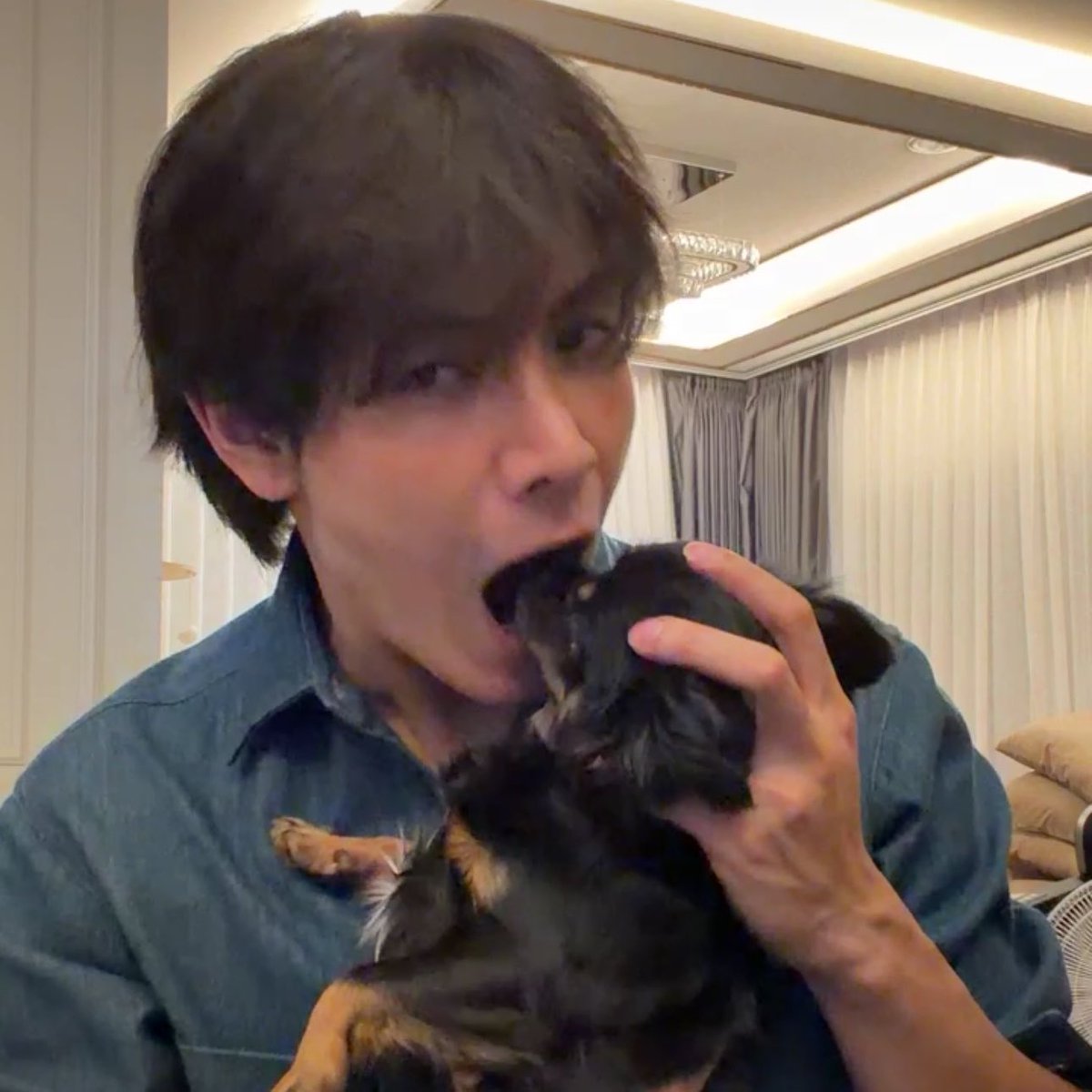 madenjoong's tweet photo. หน่วยงานเข้าช่วยเหลือหมาที่บ้านจุงได้เลยค่ะ 

#JoongArchen https://t.co/HYt1uqmCxJ