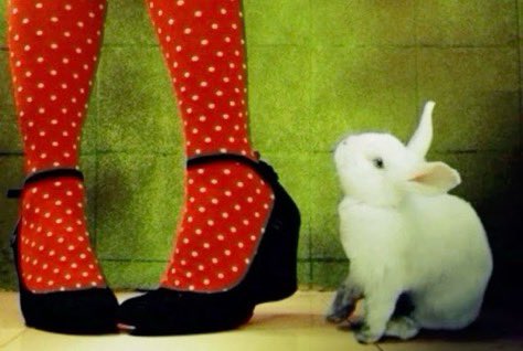 stvrwar's tweet photo. liv está servindo whimsy 2010’s twee core mas nao sao todos que entenderiam mesmo ! https://t.co/Zwa3mfiRJA