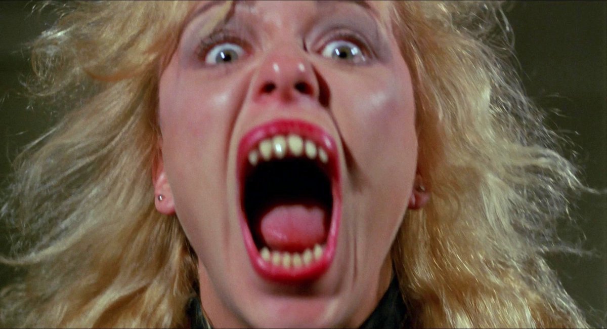 EugWSerra's tweet photo. On June 15, 1988, Nightmare Sisters was released. #NightmareSisters #LinneaQuigley #BrinkeStevens
#MichelleBauer #DavidDeCoteau #JamesRSweeney #RichardGabai https://t.co/iwupeBINrR