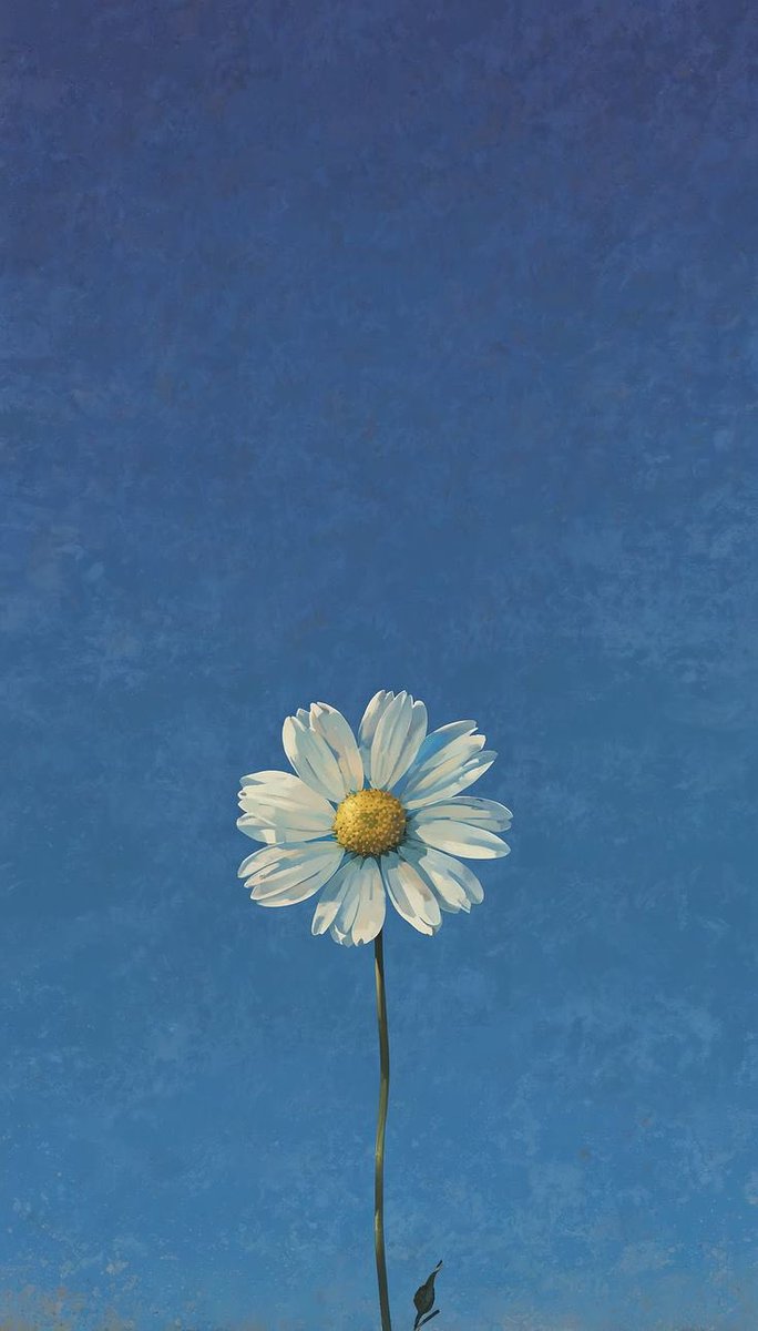 sansurszpr0fiI's tweet photo. Papatyalar gibi ol; yüzünü güneşe dön, zarafetini koru ve daima umut saç. 🌼 https://t.co/BacGghb59e