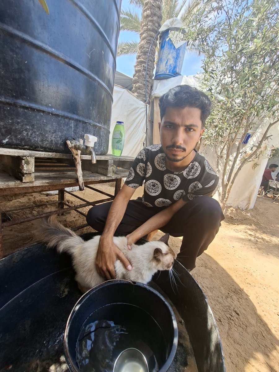 MustafaAmeen30's tweet photo. My mother fear for Misho never leaves her mind…💔

Today she looked at him sadly and said to me, “Let's bathe him and clean him… maybe he'll feel better.”

And we did so with all our love and concern, simply because we want to see him well again. 🤍

Please pray for Misho…
All we wish for now is that he gets better soon. 😢