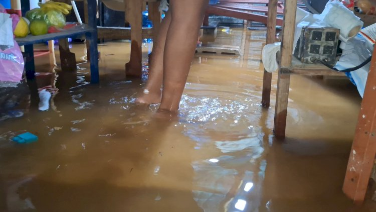 HomeroAE's tweet photo. En #Yucatán la inundación que volvió a exhibir la falta de vivienda digna https://t.co/neSMrdLN0X https://t.co/O6VpiRd65a