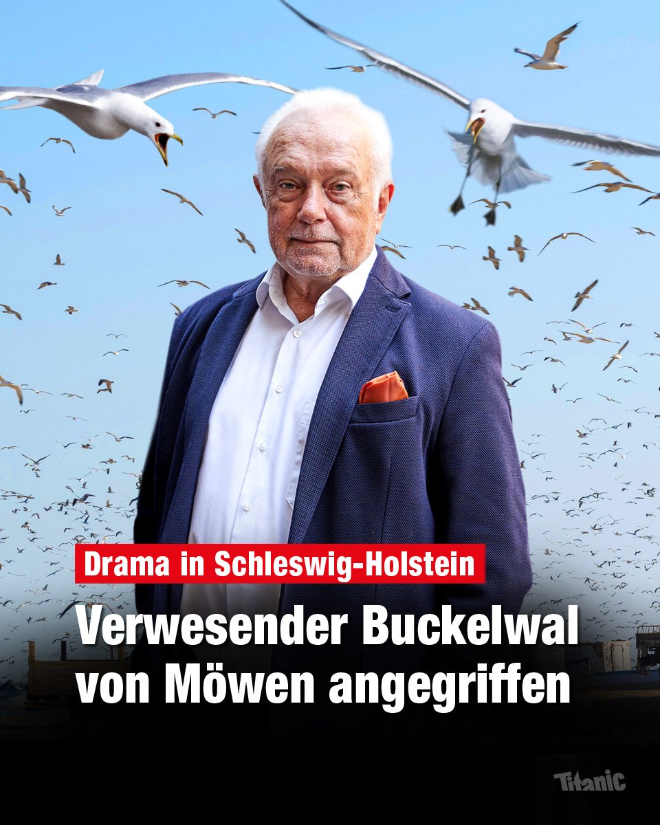 Steffcchen's tweet photo. @mel__aura 🙃🥳 https://t.co/x8kd0ZOwWJ