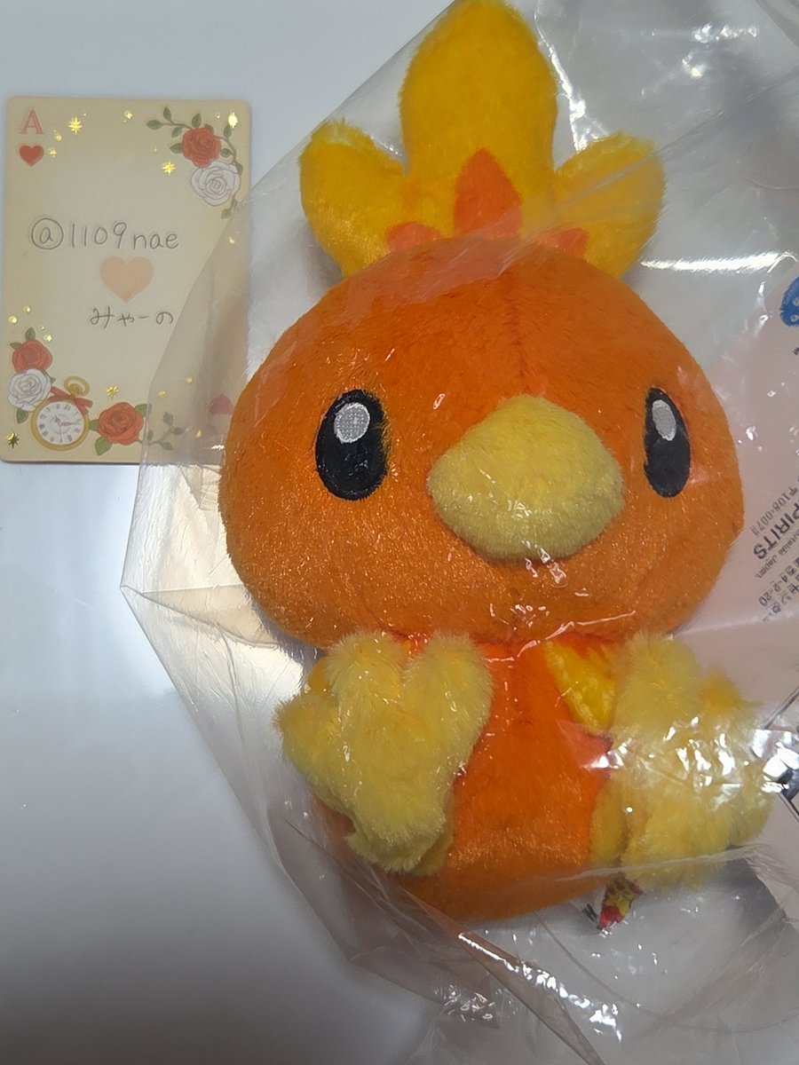 1109nae's tweet photo. 【交換】ポケモン 一番くじ Pokémon 30th ANNIVERSARY 30周年

譲→E賞　アチャモ

求→F賞　ポッチャマ

郵送交換希望です
お気軽にお声がけください！
よろしくお願いいたします https://t.co/QBbtzZAv9X