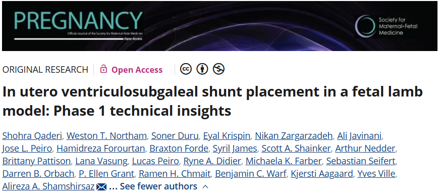 DocNavarrow's tweet photo. 🤱For decades, prenatal treatment of fetal hydrocephalus has remained an elusive goal. Most in utero shunting strategies were abandoned because the risks outweighed the benefits.

🧠A new fetal lamb study revisits the concept using a ventriculosubgaleal shunt rather than a ventriculoamniotic shunt. 

🤔Far from clinical application, but perhaps a reminder that preventing brain injury may be more important than treating its consequences after birth.

https://t.co/f9gdkSKHMv