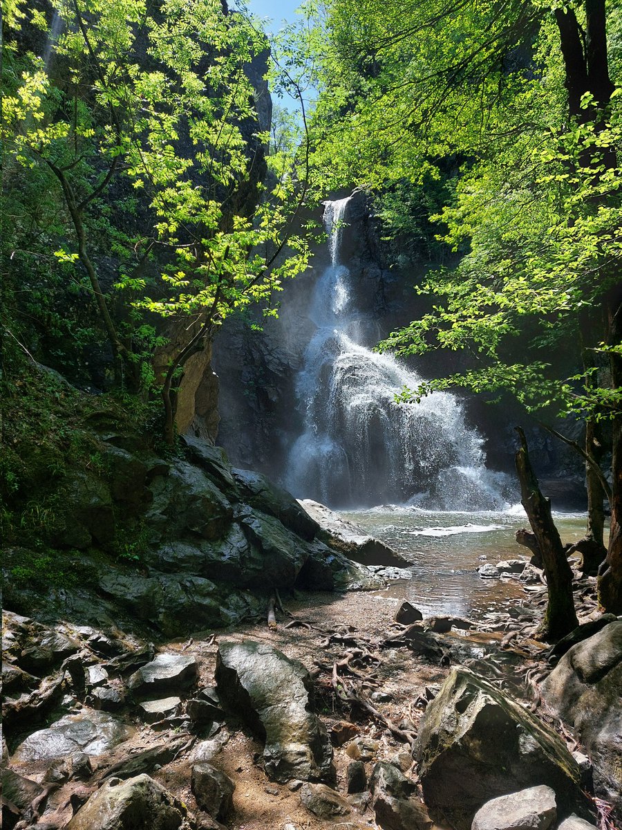 mrymsofuoglu's tweet photo. Sudüşen Şelalesi 🌿 https://t.co/S05ysgJybD