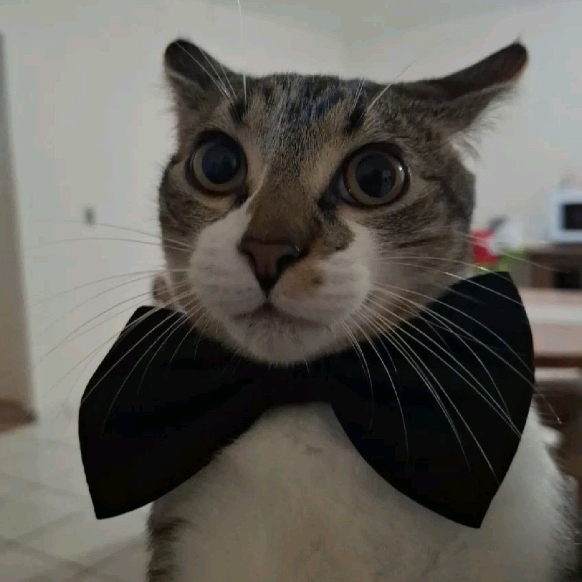 sungaydriver's tweet photo. be nice to him !!! https://t.co/k5ODdedYYk