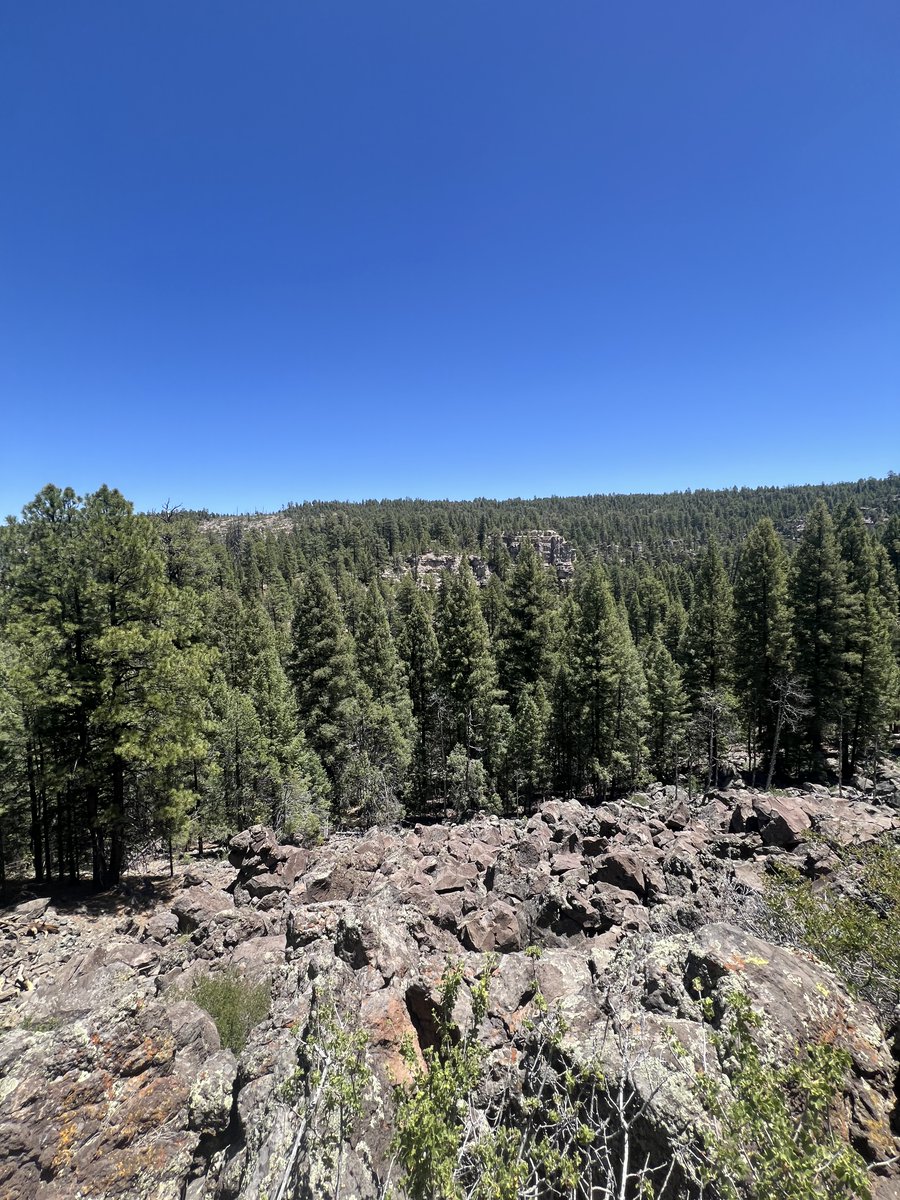dsema24's tweet photo. Absolutely gorgeous summer so far in Flagstaff! Come check it out and get out to camp this summer recruits! 
#NAU #GOJACKS #7KBUILT #Flagstaff https://t.co/kY4Nv4n7ov