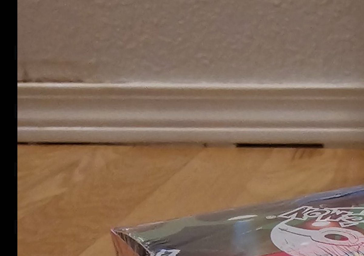 PatNoticer's tweet photo. @Pikachu662106 @USPS He wants to show off the easy access routes for ants and other woodland critters. https://t.co/F3m8lKczQL