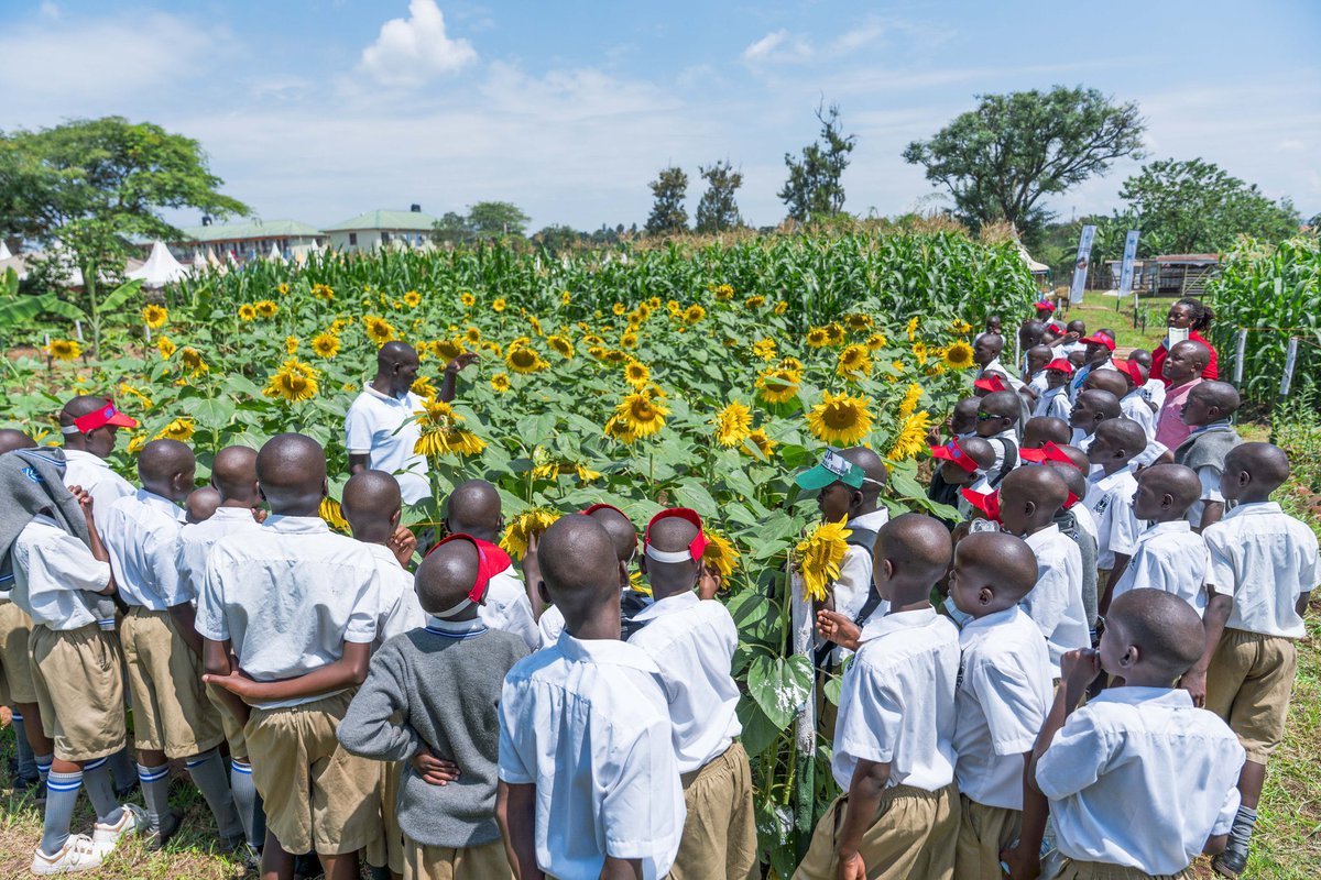 FDTVmedia's tweet photo. The students are to teach their fellow students about faring and technology in the agricultural sector 
Why not bring your school to be part of the show and allow students to experience the farming industry and technology full of innovation #AgricEdu2026 #AgricShow2026 @unffe https://t.co/mePjtrEmZ9