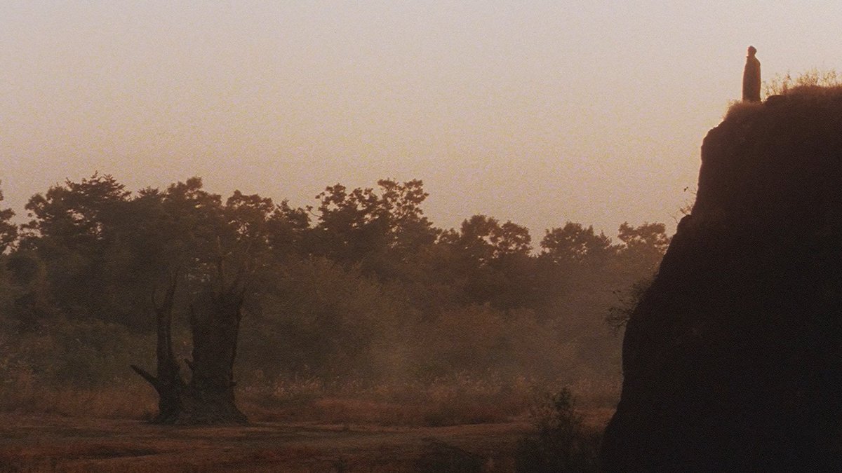 EARTHM0VERRR's tweet photo. Charisma (1999) dir. by Kiyoshi Kurosawa https://t.co/mpHqcCnpcc