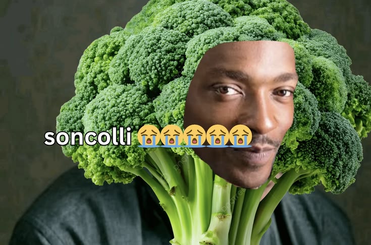•|愛|•𝓓𝓻𝓲𝔃𝔃𝔂. tweet media
