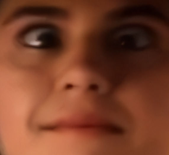 literally66561 tweet picture