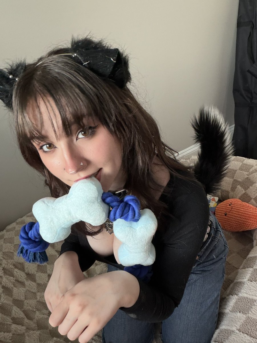 moronic_mouse tweet picture