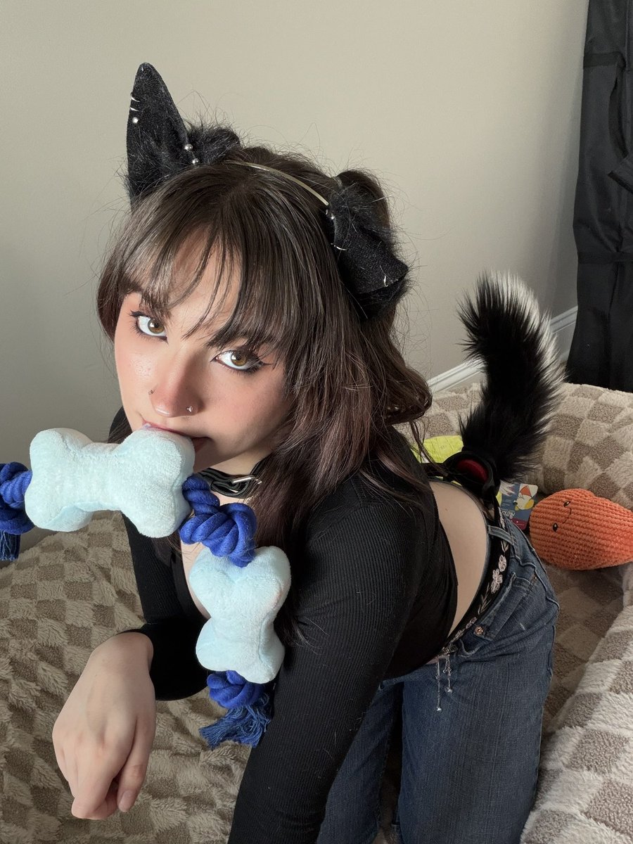 moronic_mouse tweet picture