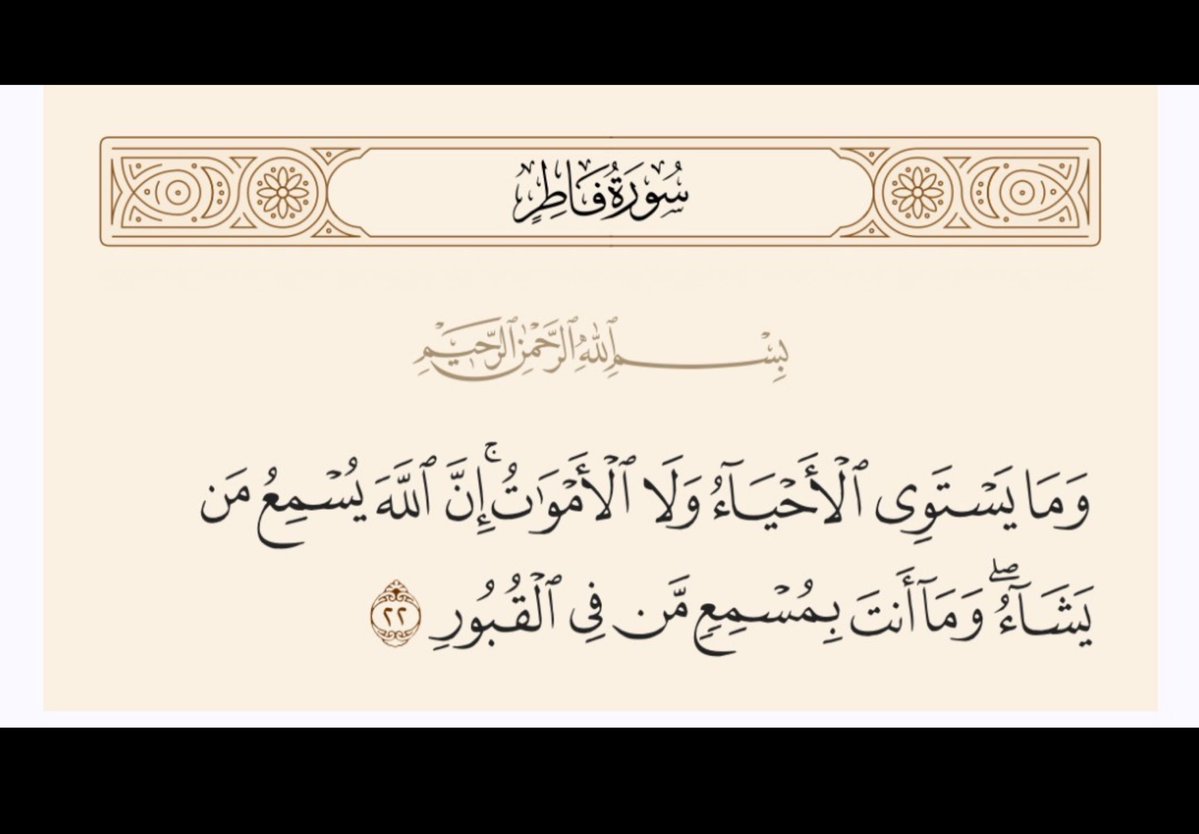 @PDF8080 tweet media