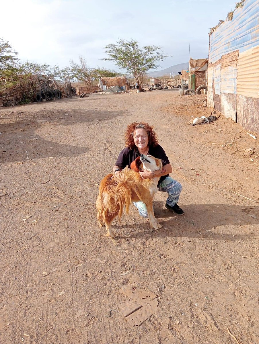 apdmecv's tweet photo. 🥰  All the animals have been fed and watered, and care given where necessary. Plenty of cuddles too, thanks, Eliana Franzoni! Also, a big thanks to the people who provide funding to enable this to continue.

#animal #charity https://t.co/N6WwpRC8Jc