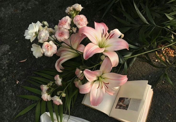 Flowerslovers44's tweet photo. https://t.co/wHtGoAUIIx