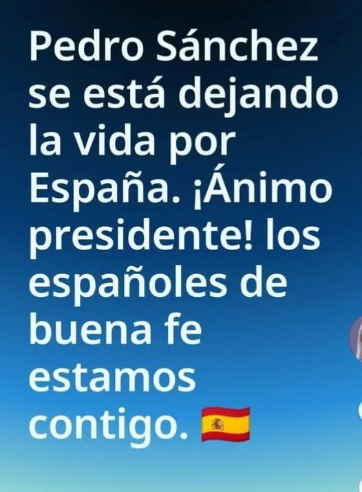 Vota con sensatez x tus intereses.Justicia social tweet media