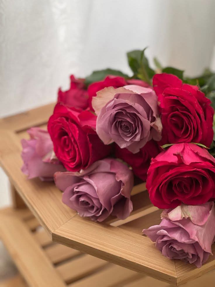 •شموخ 🌻ظِلْفَةٌ رَخِيمَة🌻 tweet media