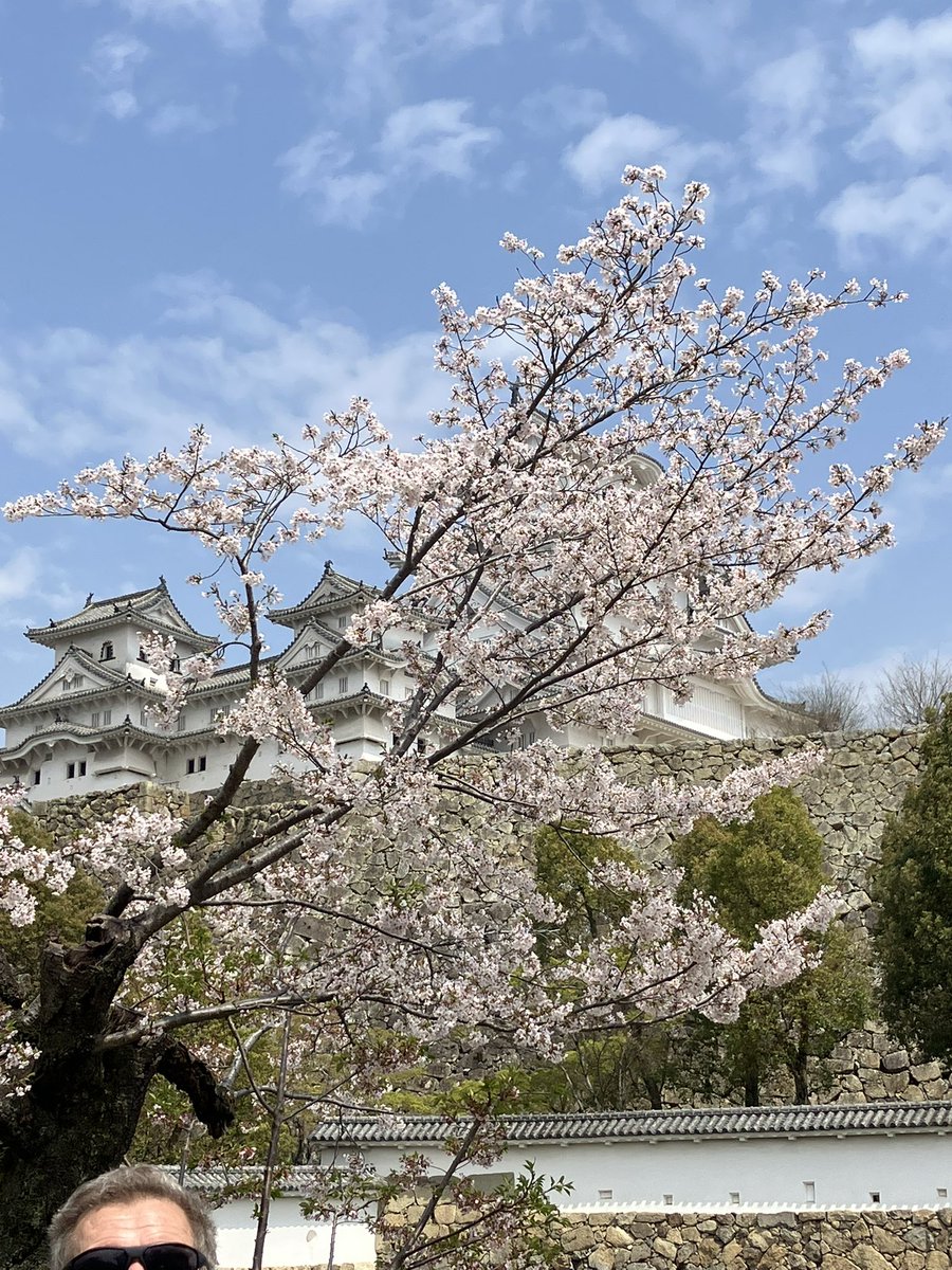 Mulrain's tweet photo. @Kristinartz Japan https://t.co/BiPqaJP2IV