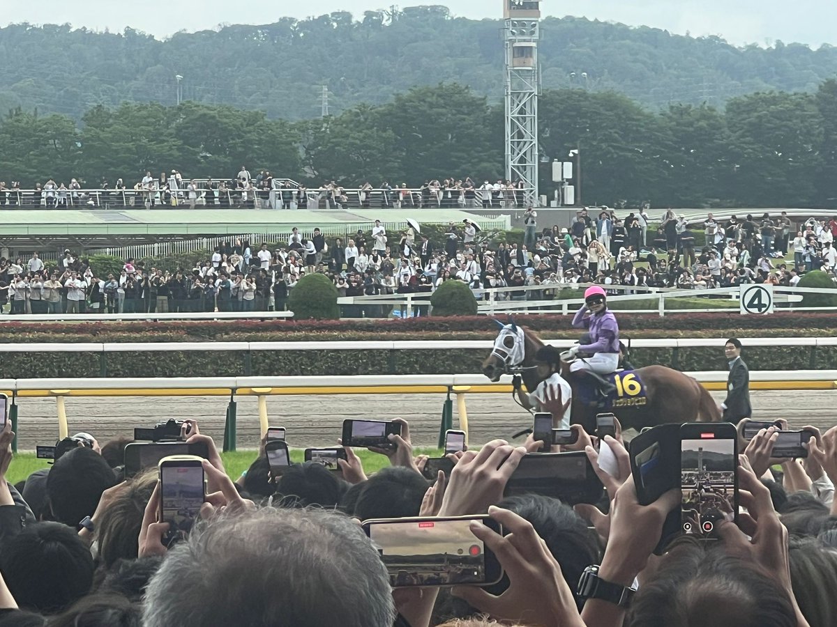 coolfav's tweet photo. forgot to tweet about it earlier but japanese oaks was awesome https://t.co/hsB2lbO5kH