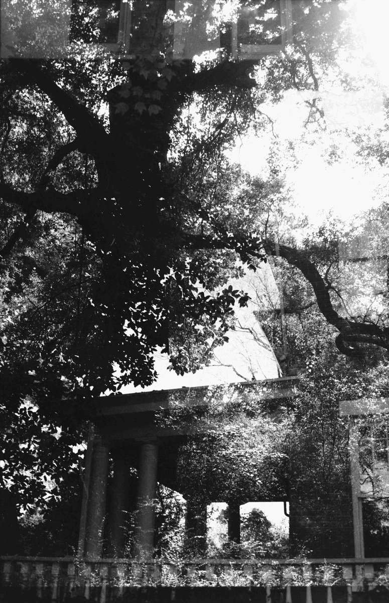 seansphotos's tweet photo. some more accidental double exposures https://t.co/lrftVfiZZ2