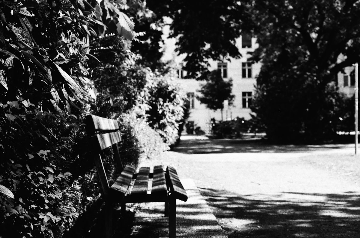 HeimoLoebler's tweet photo. park bench blues
the first photos with my canon a1 on agfa photo apx 100 35 mm film, unedited. https://t.co/si7YerPsLu
