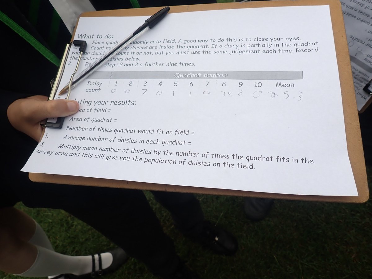 BHAPottingSheds's tweet photo. Returning to school for @The_GA #NationalFestivalofFieldwork. Monday lesson 1: Year 8 exploring our school grounds using pooters, quadrats &amp; distance measuring wheels to gather data &amp; record biodiversity. 
Returning to the lab to interpret the results as the thunder rolled in.💚 https://t.co/G8tQ0zGnLw