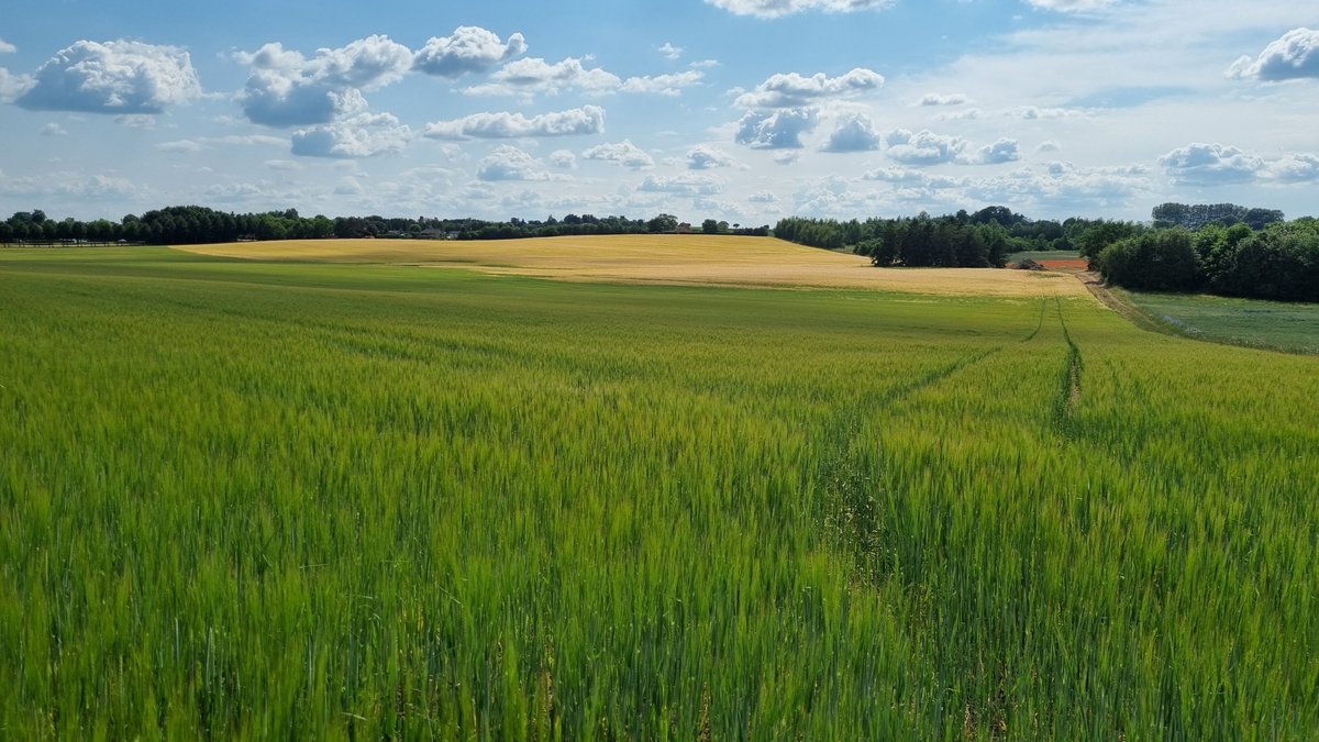 CryptoFloki's tweet photo. enjoying the weather these days

summer showed up ☀️ https://t.co/0Rqe4TssL8