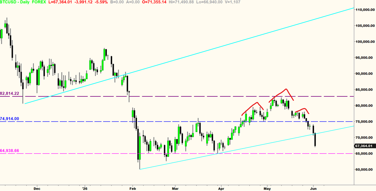 TradesWithTom's tweet photo. bitcoin:native next support around $65k. $IBIT looking weak ever since the H&amp;S + trendline break: https://t.co/0iW2pcKwnt