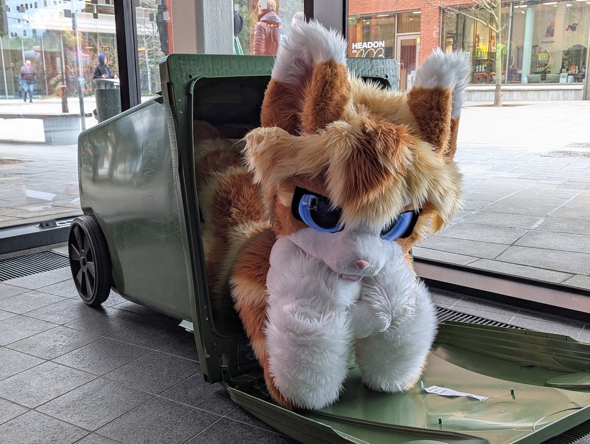 Kitzen_Waffles's tweet photo. Trash time for cat https://t.co/i5LSEjLcLK