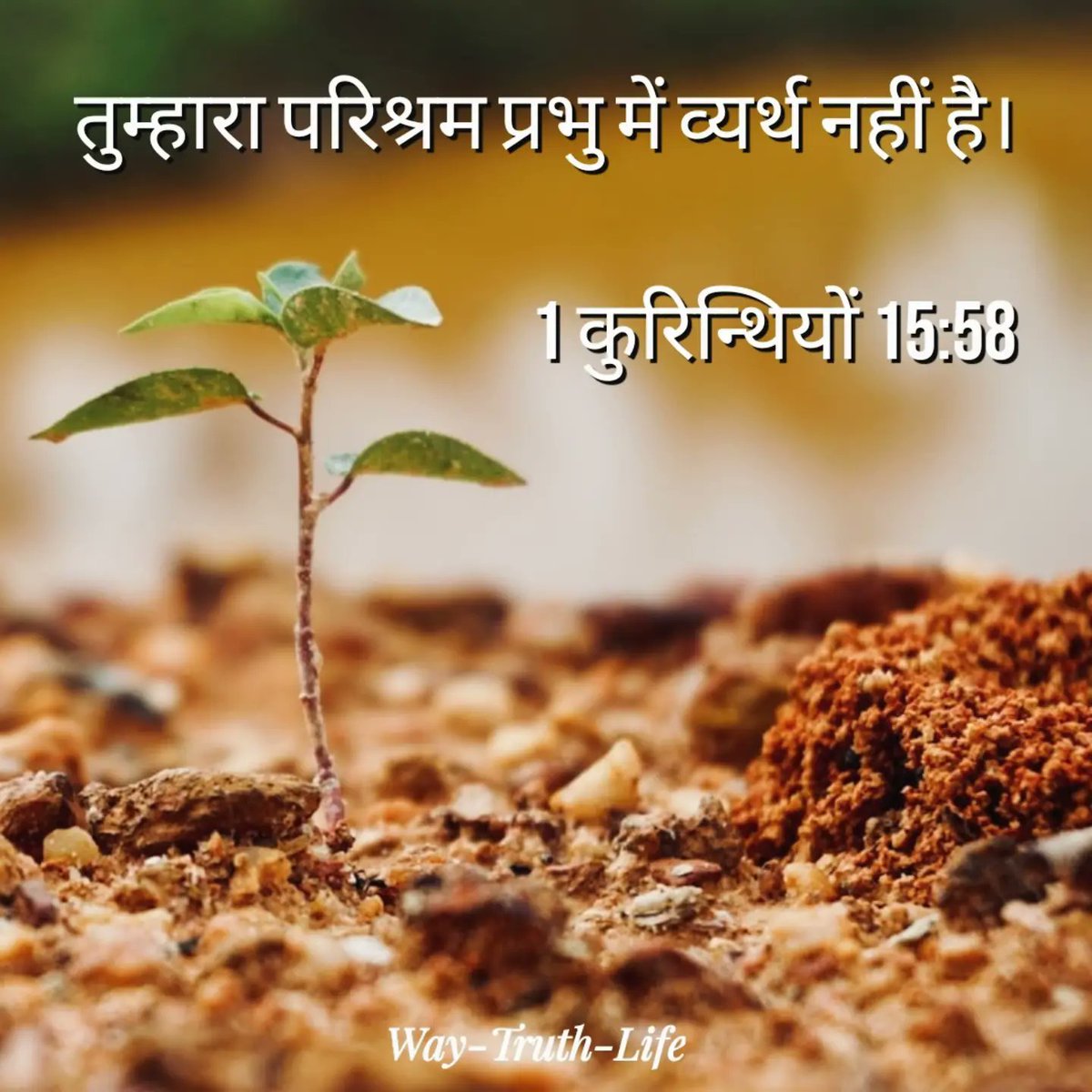 WayTruthLife11's tweet photo. #bibleverses #biblequote #Biblestudy #BiblicalFact #bibleverseoftheday https://t.co/tAIM6b4uM3