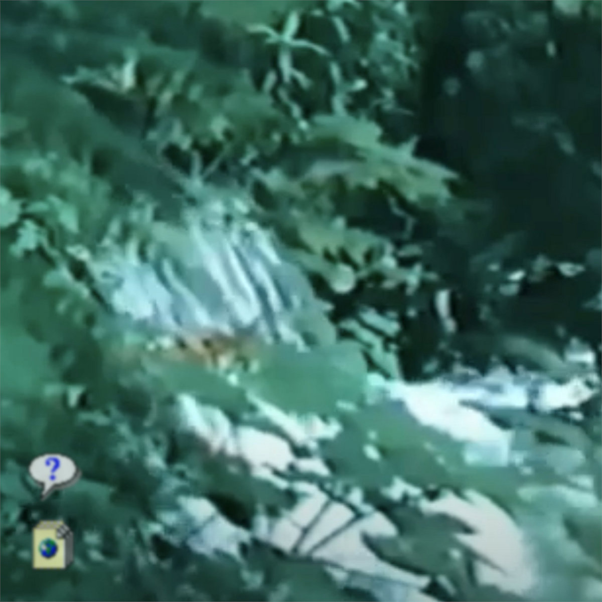 yuplateformeyu's tweet photo. 🌀BANDCAMP YUM CODE THREAD🌀
https://t.co/zTqtRIjSsf
Redeem two of my Naturewave albums using the codes below : https://t.co/A0LsAzI1rg