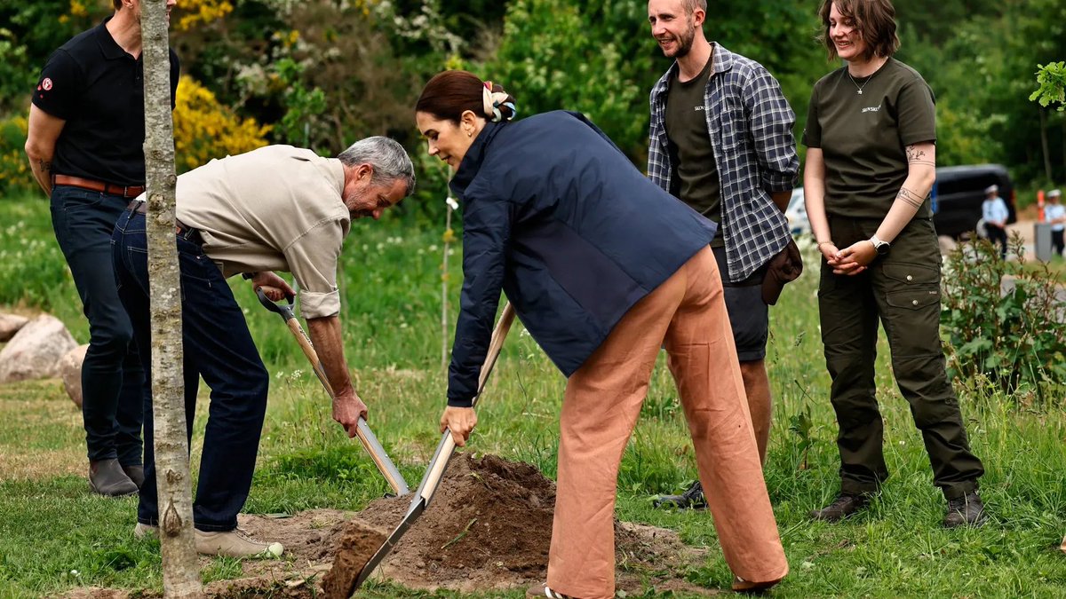 donaldson_05's tweet photo. An event filled with symbolism, tradition, and nature! 👑🌱 During their wonderful tour this Tuesday, King Frederik and Queen Mary planted the "King's Oak" in the forest—a winter oak specimen that can live for up to 500 years, leaving a historic legacy in the area. As a beautiful and meaningful keepsake for their distinguished visit, the royal couple also received their very own winter oak to plant and watch grow in the comfort of their home. Such a wonderful moment showcasing once again our King and Queen's incredible warmth, spontaneity, and dedication to local traditions! 😍🇩🇰
📸 Photo: Hanne Juul