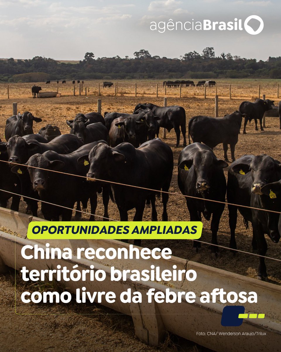 agenciabrasil's tweet photo. O governo da China anunciou o reconhecimento de todo o território brasileiro como área livre da febre aftosa. O anúncio ocorre após mais de 20 anos de negociações.  

Atualize-se: https://t.co/cQDMZxvDgi. https://t.co/0C7lYyPInr