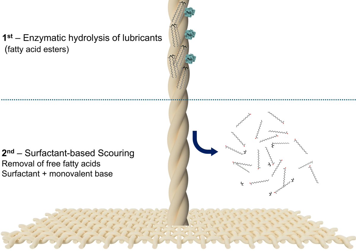 Textiles_MDPI's tweet photo. 🎉 Lipase-Assisted Removal of Spin Finishes from Synthetic Fibre Textiles

✍ by Luís C. de Sousa et al

🔗 Read the article here: https://t.co/wy2ScYX2jj https://t.co/hsNUHG2tzr