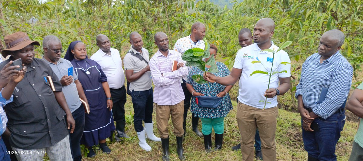 rwebitaba's tweet photo. COCODEV Project training of extension workers at Rwebitaba ZARDI
@Tamu50347230 https://t.co/GBeaHSYQtv