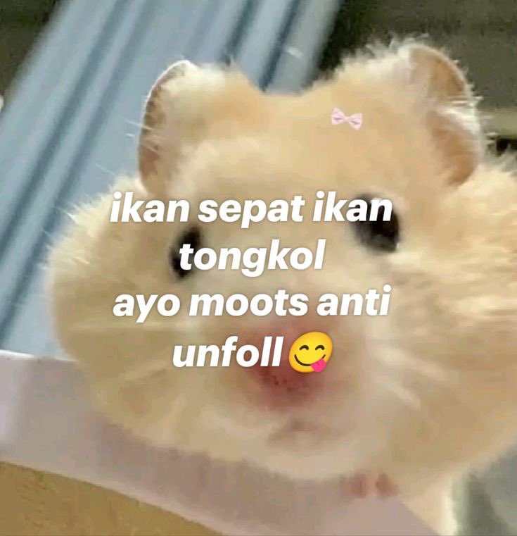 lapuw🎀🫧 tweet media