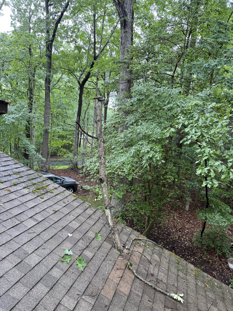 sureslope's tweet photo. Storm damage to your roof? Don’t wait. Water moves fast and so do we. Sureslope deploys emergency tarps 24/7, handles permanent repairs, and works directly with your insurance company. One call covers it all. Link in bio. #AnnapolisRoofing #StormDamage #EmergencyRoofRepair https://t.co/yosUoUr7Zy