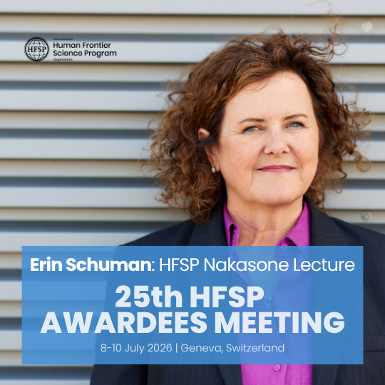 HFSP's tweet photo. A highlight of #HFSPmtg2026: HFSP Nakasone Lecture by the 2026 winner Erin Schuman.  
Join us in Geneva to hear about the discoveries that transformed our understanding of synaptic plasticity and memory formation.
👉 Registration: https://t.co/lBZtDlj0F6 
#HFSP https://t.co/wkH7zkvIUs