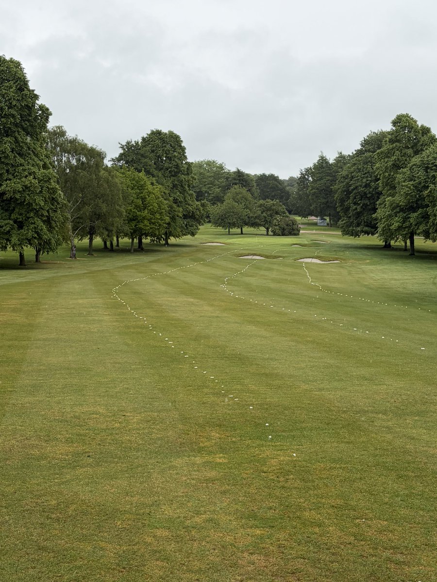 RobGroves78's tweet photo. Perfect conditions to get a wetting agent and feed on the fairways and approaches this morning to try and kick them back into life and the day brightened up for our Ladies Open this afternoon. 👍 https://t.co/xvqVNhKJWs