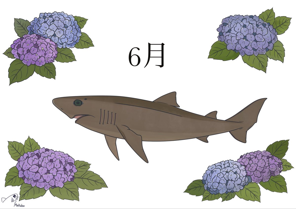 shark0037's tweet photo. 6月
紫陽花×カエルザメ

#カエルザメ
#紫陽花
#めかぶ絵 https://t.co/VxbfuEgmje
