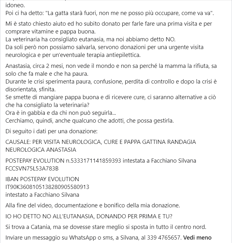 zampa_qua's tweet photo. ATTENZIONE 🆘🆘🆘Silvana ☎️3394765657🐈 Salviamola ! https://t.co/dTA8lOQchX
Anastasia 2 mesi,la sua mamma la partorita e lasciata sola,ha subito un trauma di tipo neurologico. La veterinaria ha consigliato eutanasia, ma noi abbiamo detto NO #4voiceless https://t.co/7fYOmJA69m